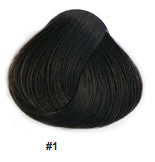 18" Clip In Remy Hair Extensions: Black Stallion No. 1 - Celebrity Strands
 - 2