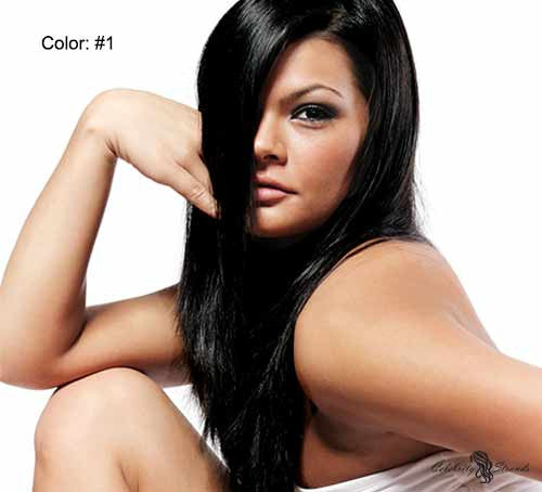 24" Clip In Remy Hair Extensions: Black Stallion No. 1 - Celebrity Strands
 - 2