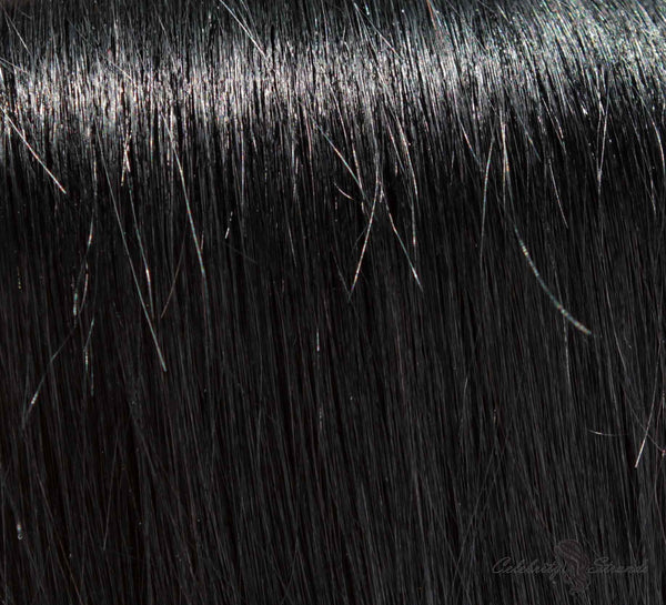 18" Clip In Remy Hair Extensions: Black Stallion No. 1 - Celebrity Strands
 - 1