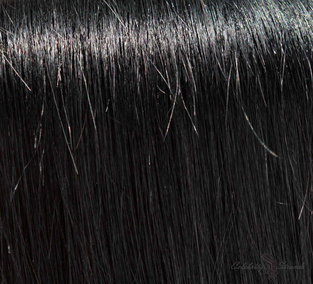 24" Clip In Remy Hair Extensions: Black Stallion No. 1 - Celebrity Strands
 - 1