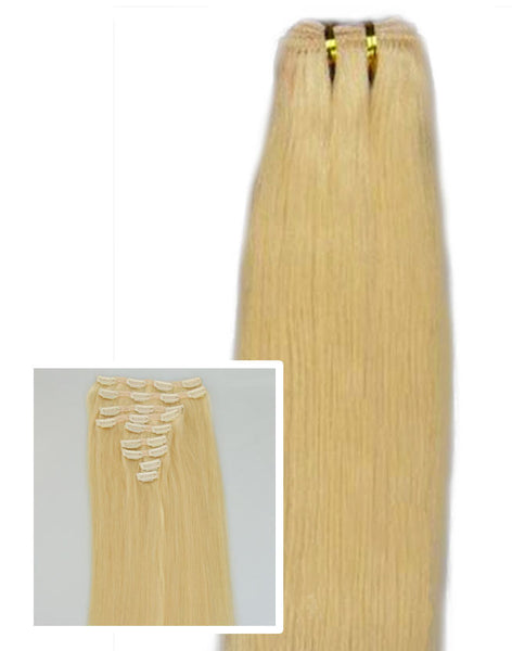 Spotlight Platinum:  21" Clip In Hair Extensions - Celebrity Strands
 - 3